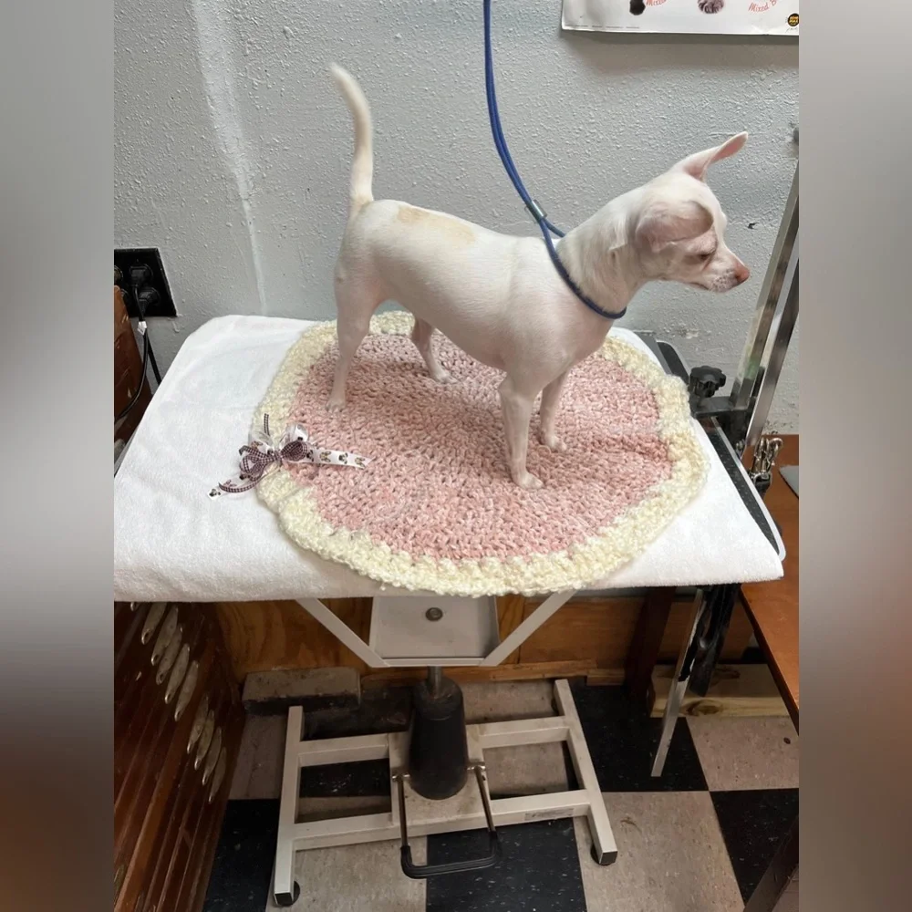 Cozy Pink and Cream Dog Blanket